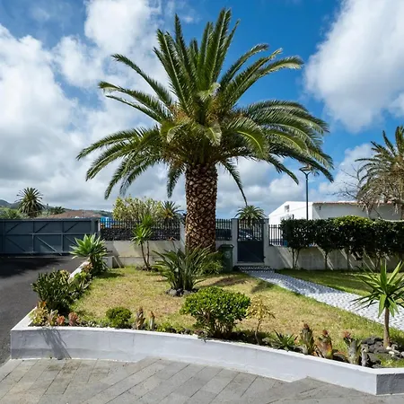 Azores Palmeira Willa