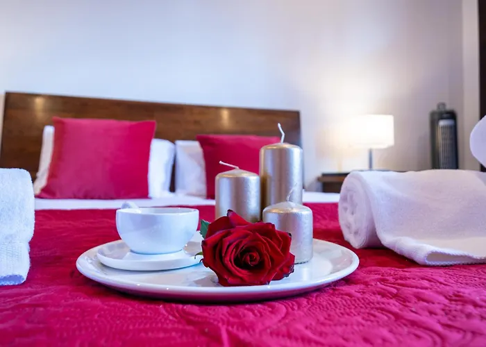 Azores Palmeira Willa