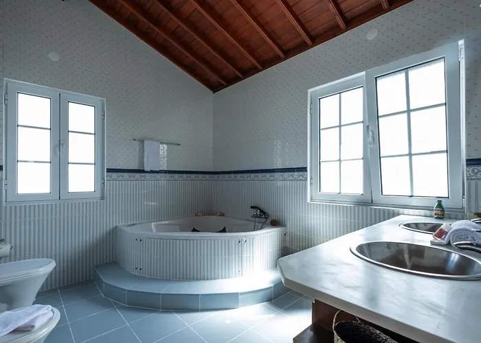 Azores Palmeira Ponta Delgada