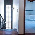 Azores Palmeira * 蓬塔德尔加达