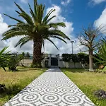 Azores Palmeira * 蓬塔德尔加达