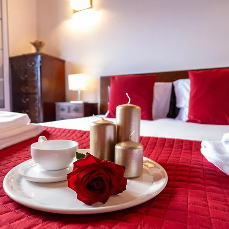 Azores Palmeira Ponta Delgada