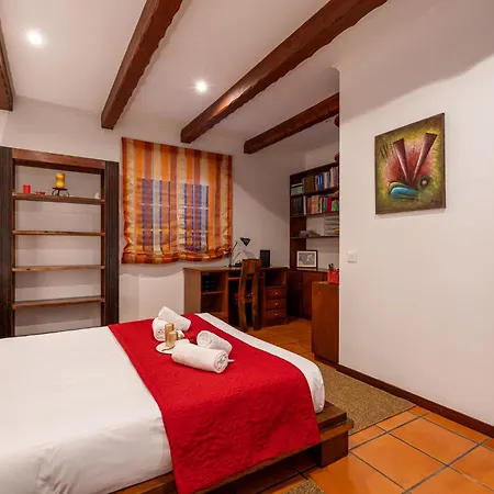 Azores Palmeira Ponta Delgada