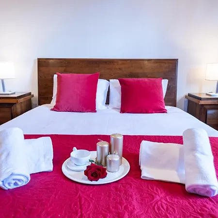 Azores Palmeira * Ponta Delgada