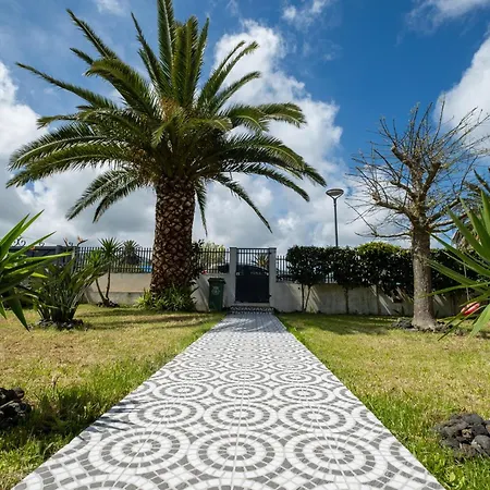 Azores Palmeira * Ponta Delgada (Sao Miguel)