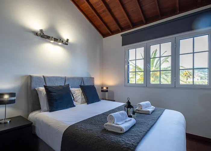 Azores Palmeira * 蓬塔德尔加达