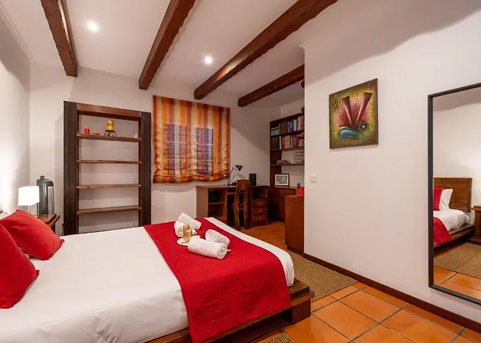 Azores Palmeira 蓬塔德尔加达