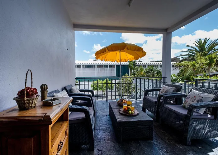 Azores Palmeira * 蓬塔德尔加达