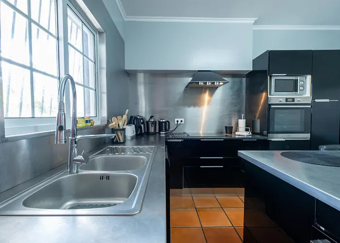 Azores Palmeira * 蓬塔德尔加达