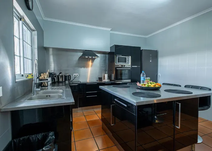 Azores Palmeira * 蓬塔德尔加达