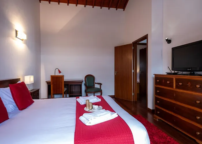 Azores Palmeira * 蓬塔德尔加达