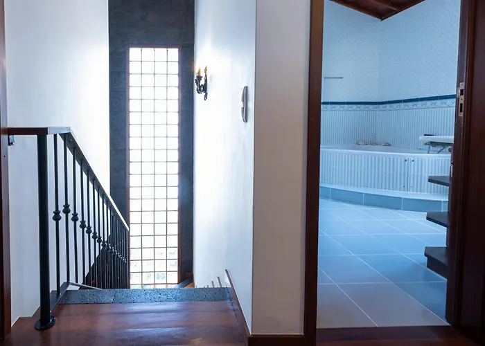 Azores Palmeira * 蓬塔德尔加达